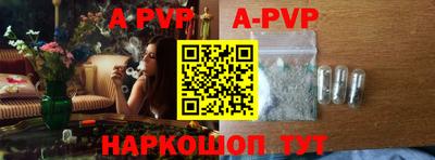 СК Моздок
