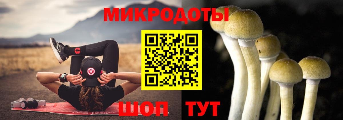Братск  Псилоцибиновые грибы Cubensis  купить наркоту  Вход с VPN  Псилоцибиновые грибы Psilocybine cubensis 